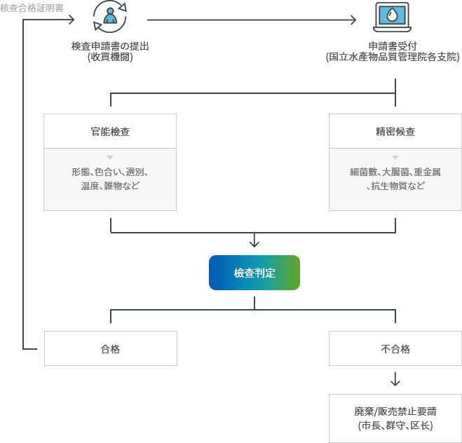 検査申請書の提出(收買機閱)→申請書受付(国立水產物品質管理院各支院)→官能檢查(形態、色合い、選別、温度、雑物など),精密候查(細菌數、大腸菌、重金属、抗生物質など)→檢查判定→合格(→核查合格証明書),不合格(→廃棄/販売禁止要請(市長、群守、区长))