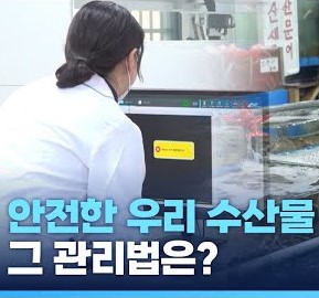 안전한 우리 수산물, 그 관리법은? 유튜브링크