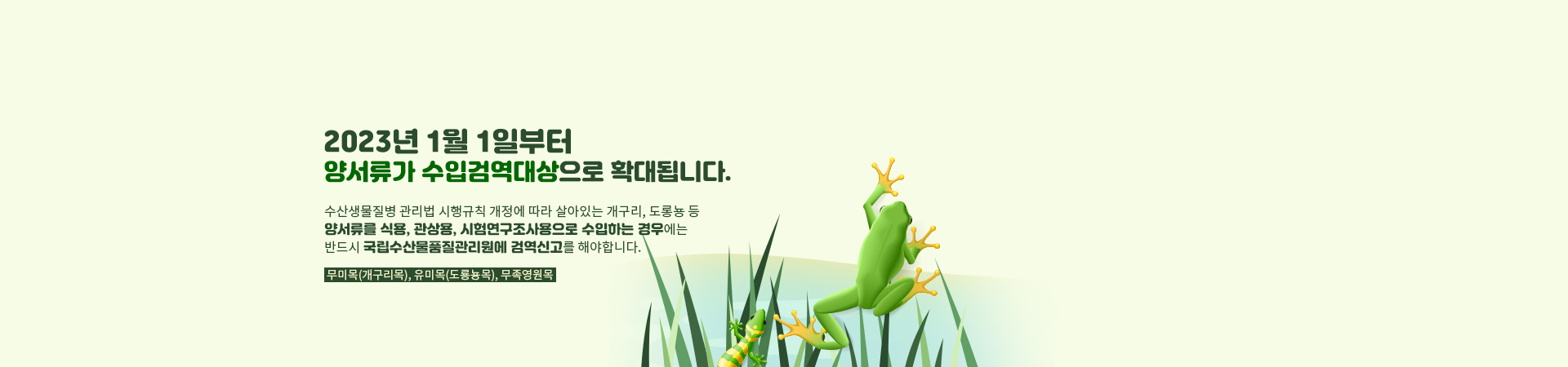 2023년 1월 1일부터 양서류가 수입검역대상으로 확대됩니다. 수산생물질병 관리법 시행규칙 개정에 따라 살아있는 개구리, 도롱뇽 등 양서류를 식용, 관상용, 시험연구조사용으로 수입하는 경우에는 반드시 국립수산물품질관리원에 검역신고를 해야합니다. 무미목(개구리목), 유미목(도룡뇽목), 무족영원목
