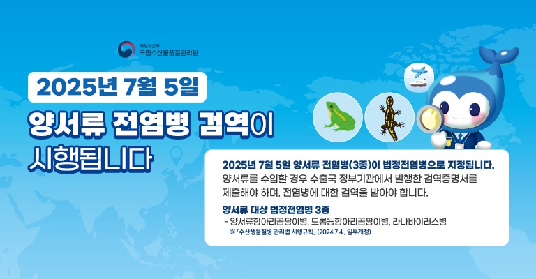 2025년 7월 5일 양서류 전염병 검역이 시행됩니다. 2025년 7월 5일 양서류 전염병(3종)이 법정전염병으로 지정됩니다. 양서류를 수입할 경우 수출국 정부기관에서 발행한 검역증명서를 제출해야하며, 전염병에 대한 검역을 받아야 합니다. 양서류 대상 법정전염병 3종. 양서류항아리곰팡이병, 도롱뇽항아리곰팡이병, 리나바이러스병. 수산생물질병 관리법 시행규칙(2024.7.4. 일부개정)