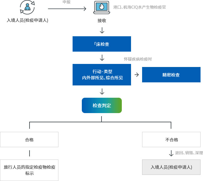 入境人员(检疫申请人) → 申报 → 接收(港口、机场CIQ水产生物检疫官) → 「床检查 → 行动·类型内外部所见、综合所见( → 怀疑疾病检疫时 → 精密检查) → 检查判定 → 合格(旅行人员的指定检疫物检疫标示), 不合格(退回、销毁、深理 → 入境人员(检疫申请人)